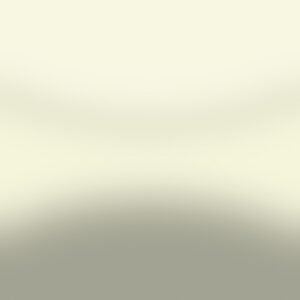 WA470P Beige - OEM Automotive Paint