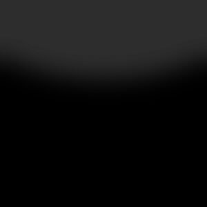 921 Narvik Black - OEM Automotive Paint