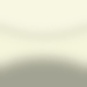 HNP Beige Dune - OEM Automotive Paint